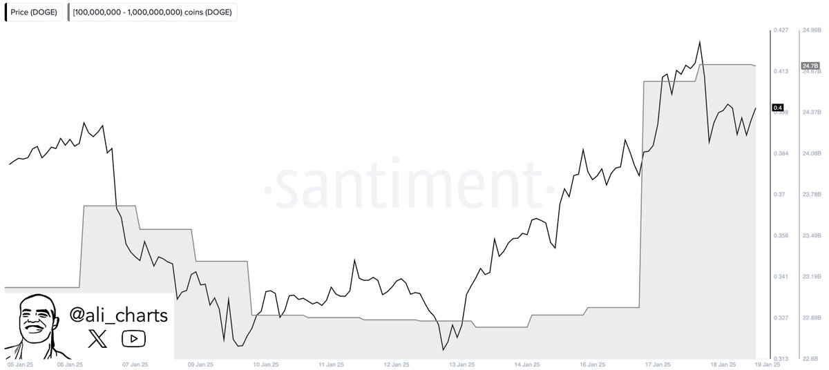 Analyst reveals Crypto Whale loaded .05 million worth of Dogecoin (DOGE) in just two days